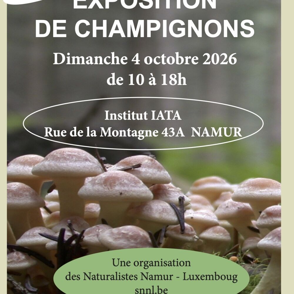 affiche-expo-2026-champi.jpg